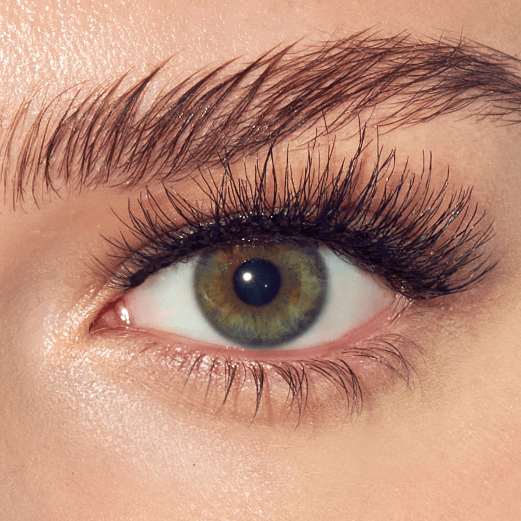 Close-up of a person&