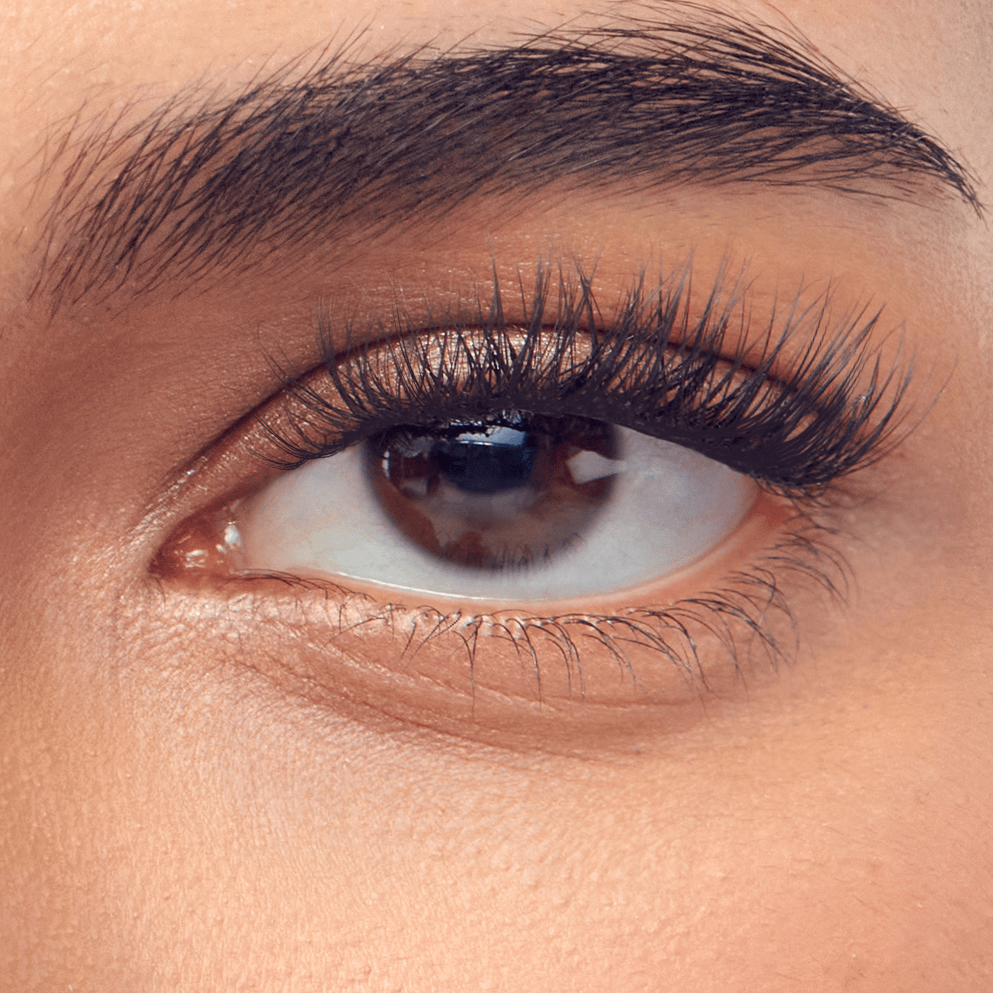 imPRESS Falsies Pre-Glued Individual Lashes Kit