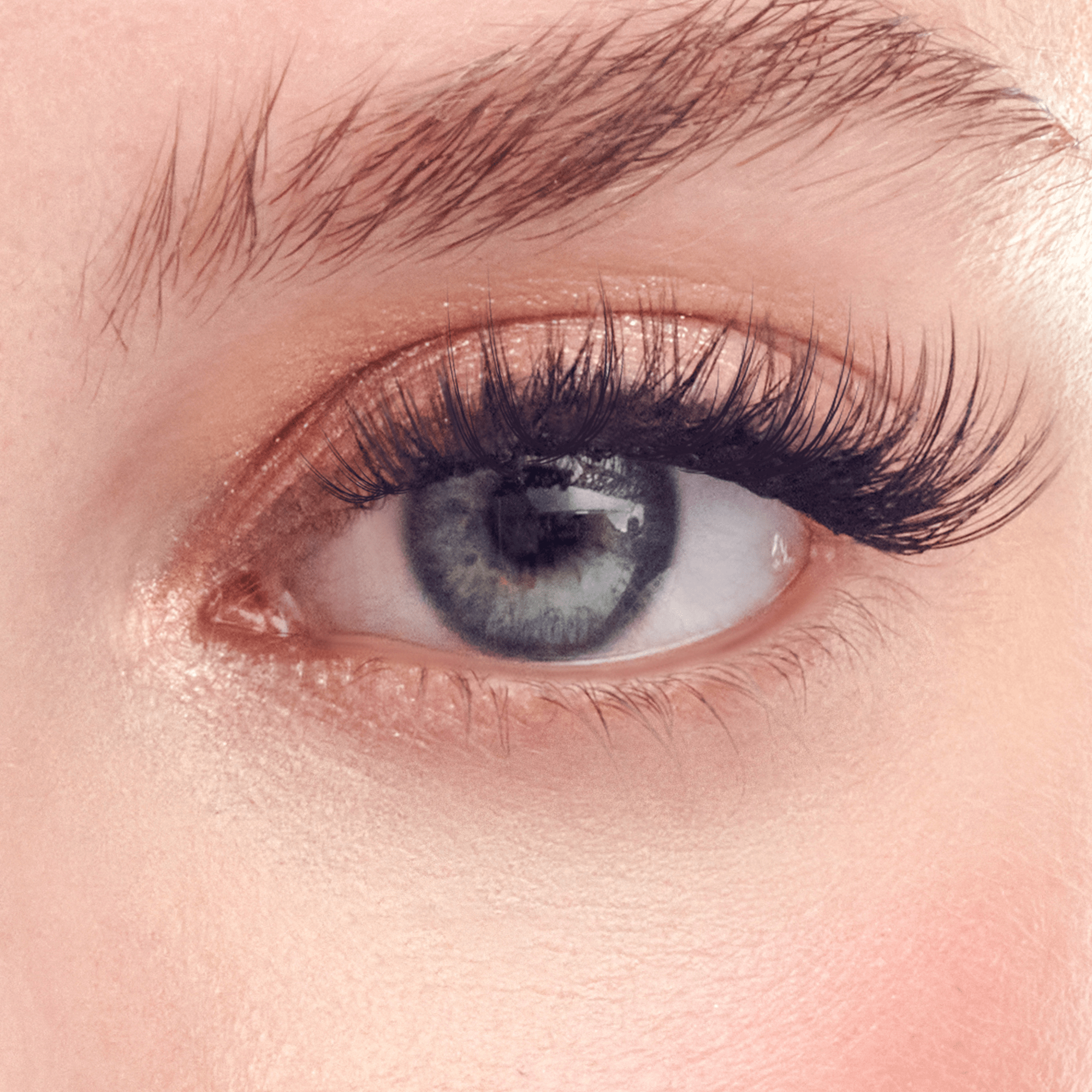 Close-up of a blue-gray eye with thick black lashes and shimmering eyeshadow.