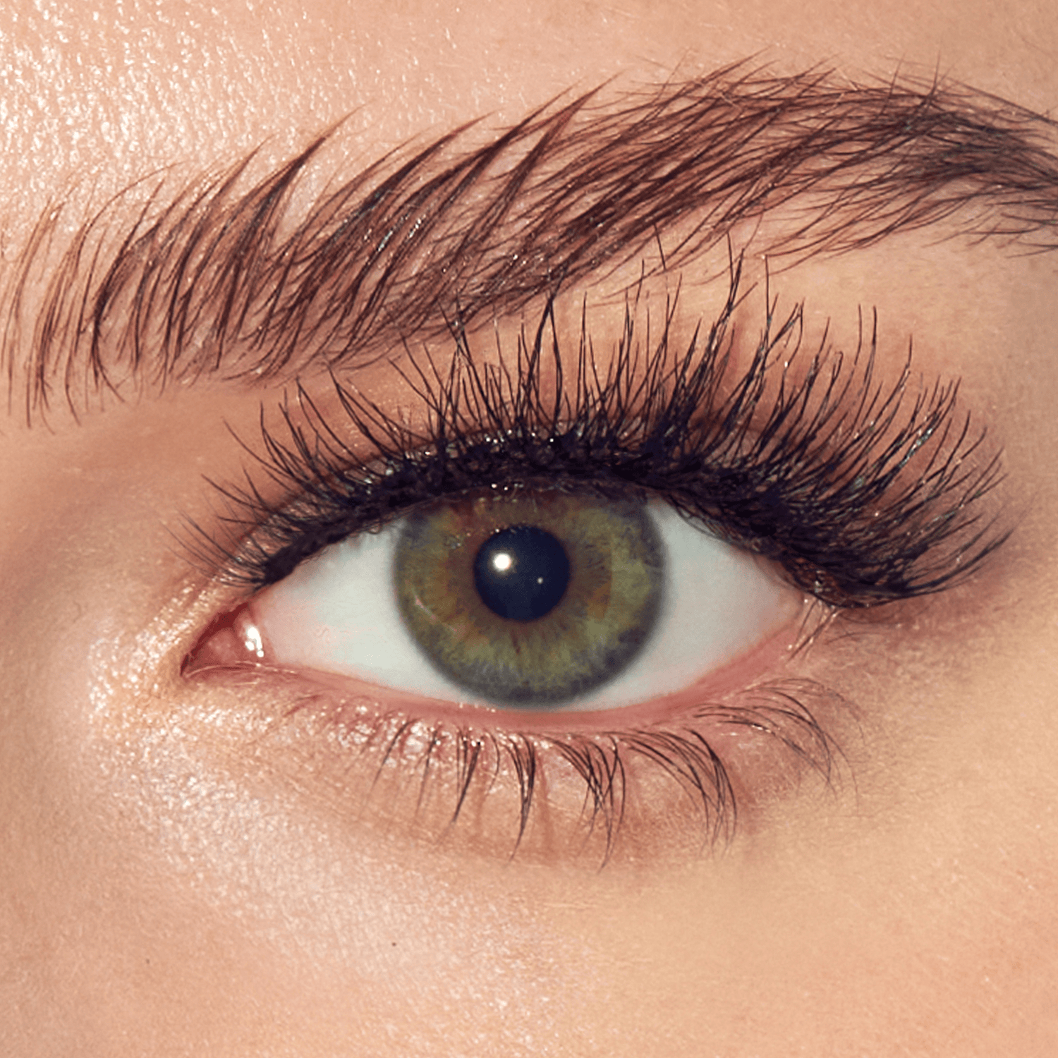 Close-up of a person&