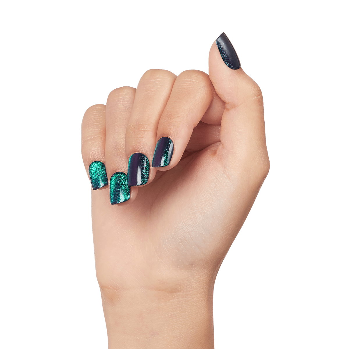 A hand modeling &