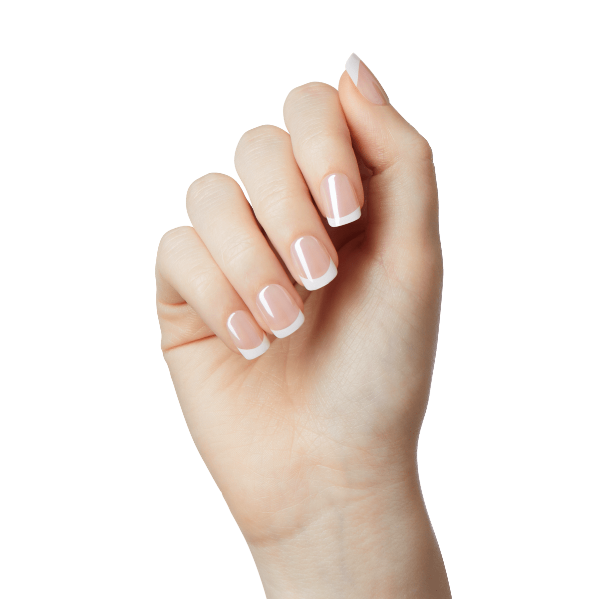 White French Nail tips | Nail Extensions – Revel Nail