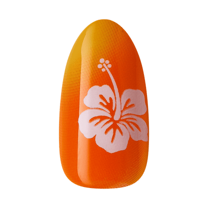 imPRESS Design Press On Nails - Splashy