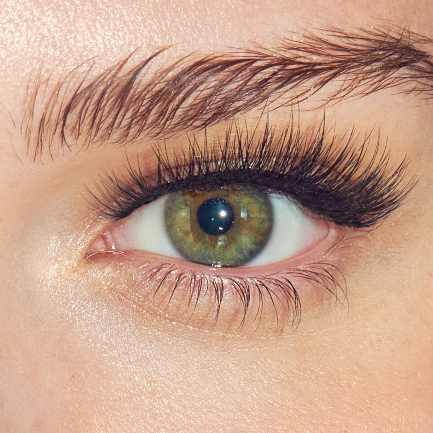 Close-up of a green eye with detailed eyelashes and eyebrow.