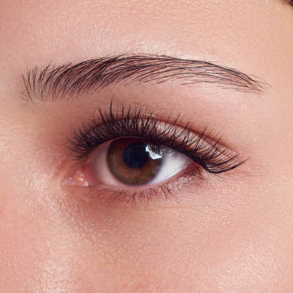 imPRESS Falsies Long Lasting Pre-Glued Lash Clusters Kit - Demi Bold