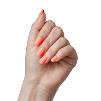imPRESS Color Press On Nails - Prime Times