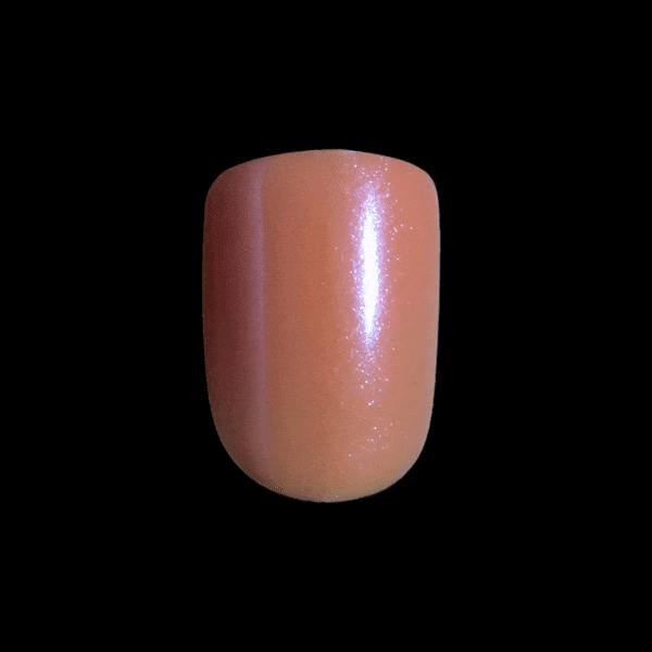 Animation of a single imPRESS nail in &