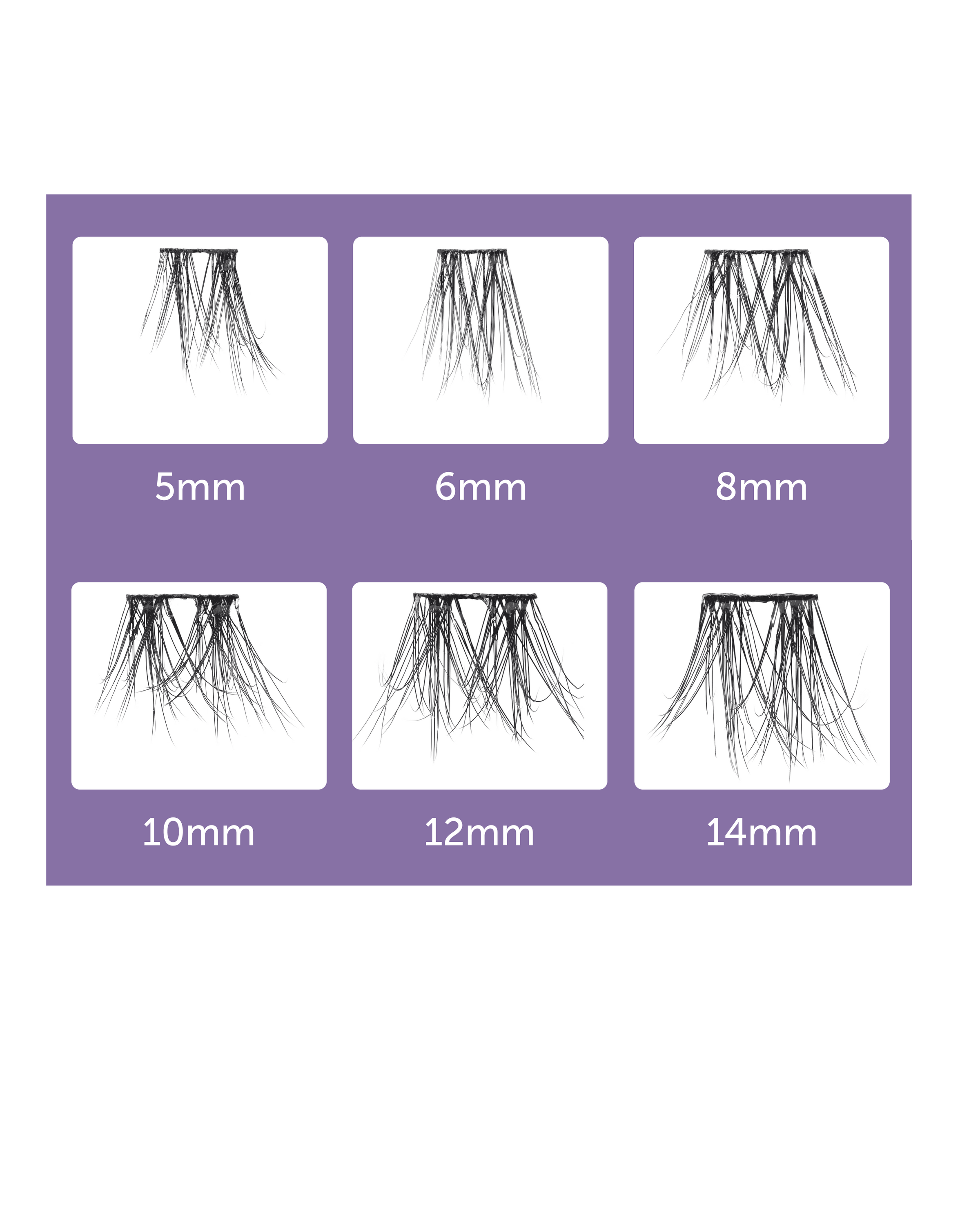 A chart that displays six different lengths of imPRESS Long Lasting lash clusters so you can see the difference between 5,6,8, 10, 12 and 14mm lashes. 
