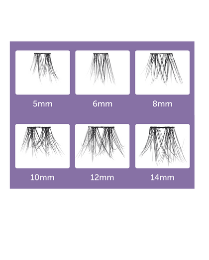 A chart that displays six different lengths of imPRESS Long Lasting lash clusters so you can see the difference between 5,6,8, 10, 12 and 14mm lashes. 