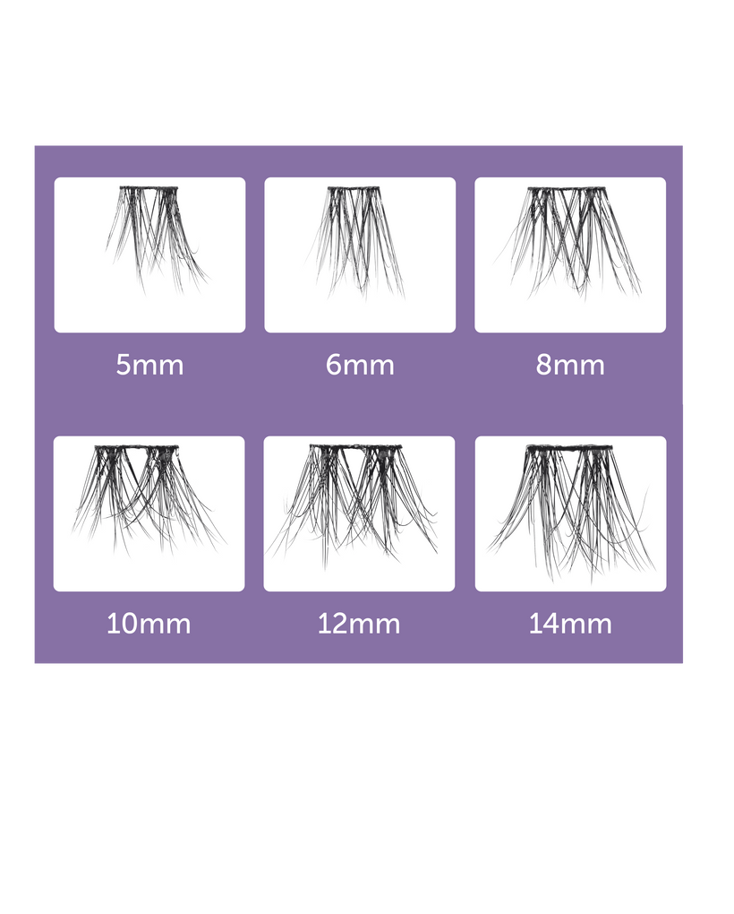 A chart that displays six different lengths of imPRESS Long Lasting lash clusters so you can see the difference between 5,6,8, 10, 12 and 14mm lashes. 