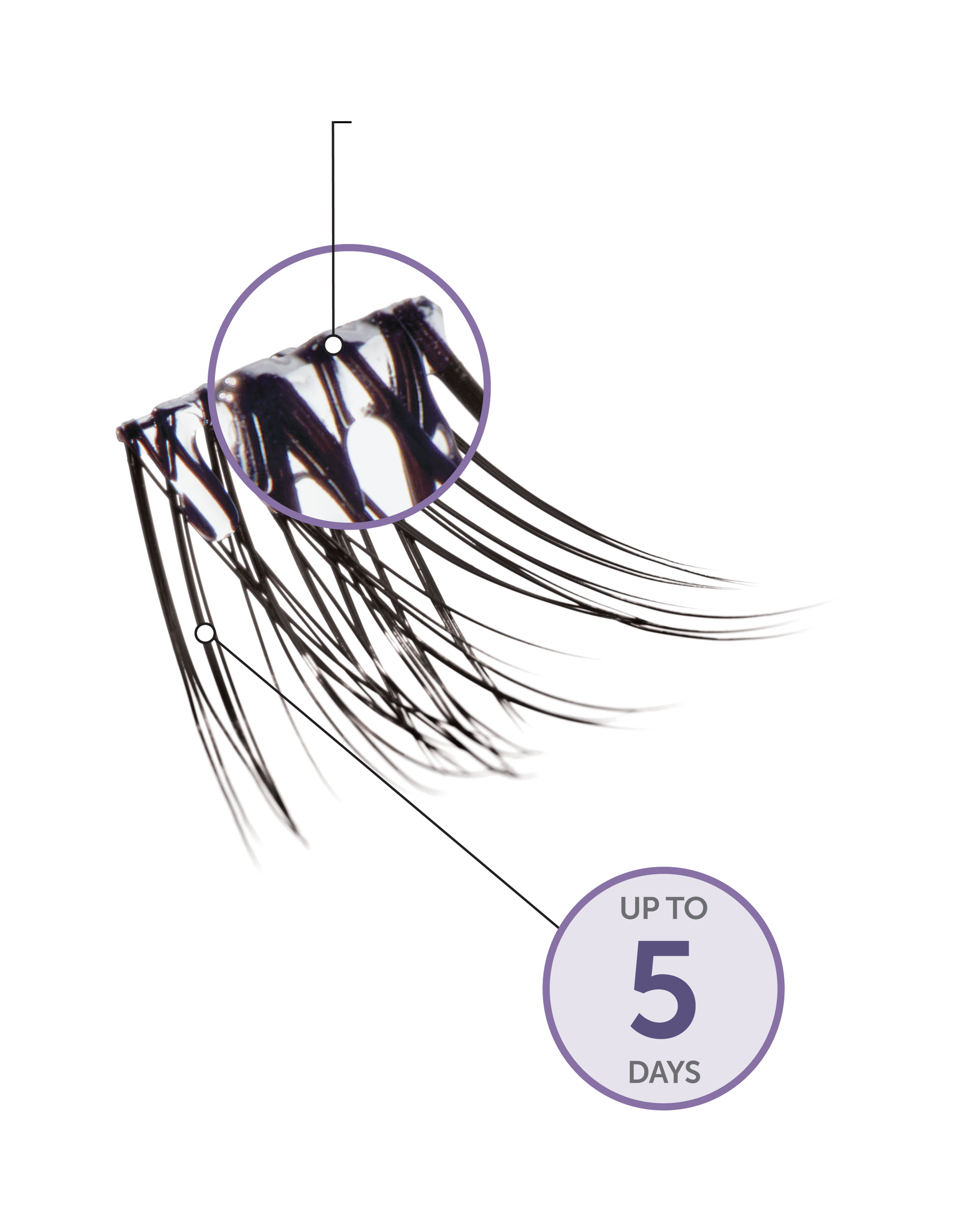 Close-up of a single lash cluster with and clear band and the text "Up to 5 days" showing off that the lashes last up to 5 days of wear. 
