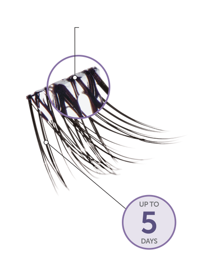 Close-up of a single lash cluster with and clear band and the text "Up to 5 days" showing off that the lashes last up to 5 days of wear. 