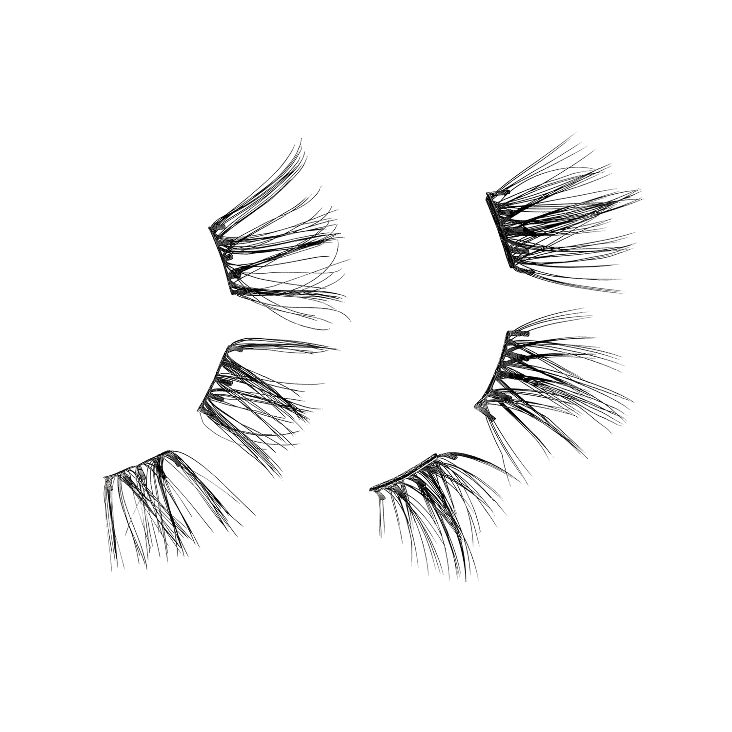 False eyelash set showing progression from wispy to dramatic styles