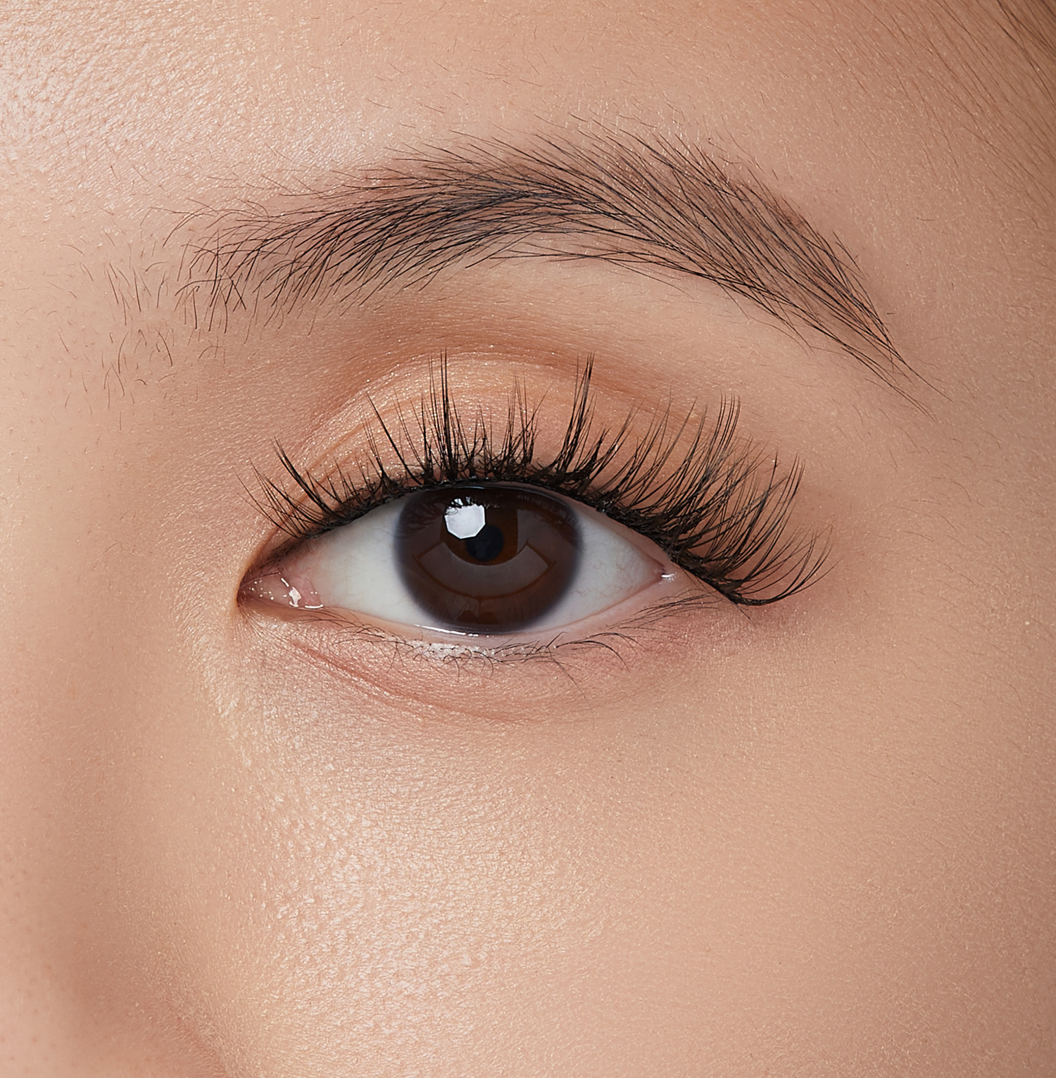 imPRESS Falsies Self Adhesive Eyelashes, 12 Lash Clusters - Modern
