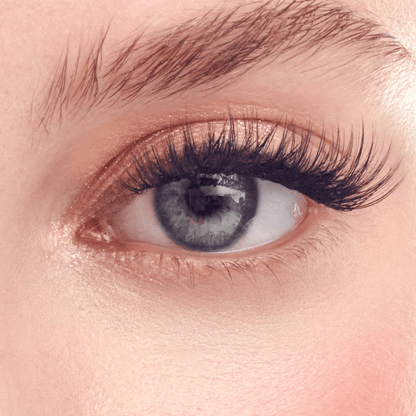 imPRESS Falsies Pre-Glued Individual Lashes Multipack- Classic Volume